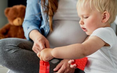 Pregnancy and New Mom Guide