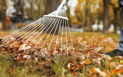 Tips for Preventing Fall Fires