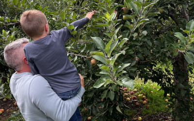 Where to Go Apple Picking!