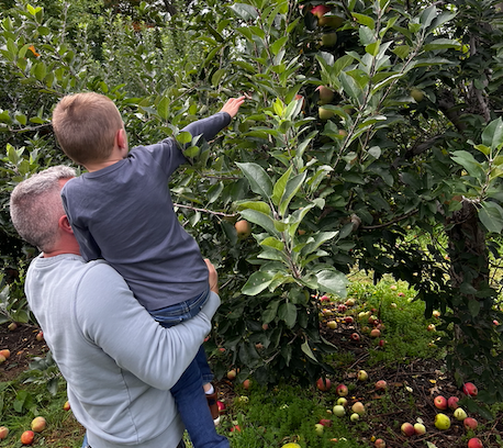 Where to Go Apple Picking!