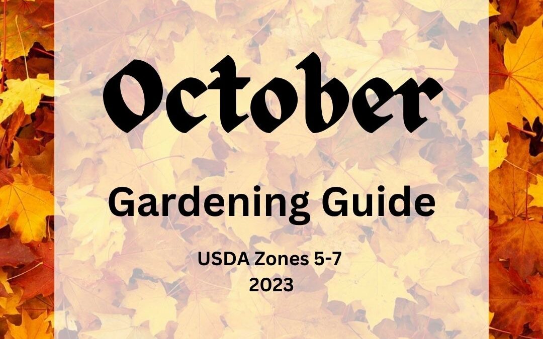 October Gardening Guide