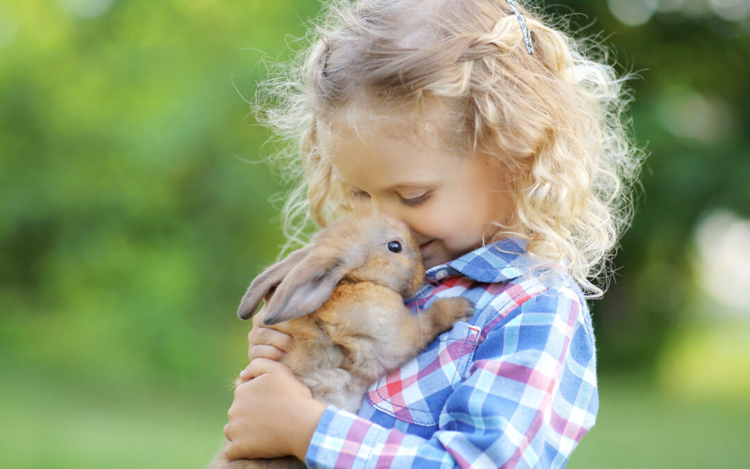 The Hangout Spot: Social Safety Tips with Animals