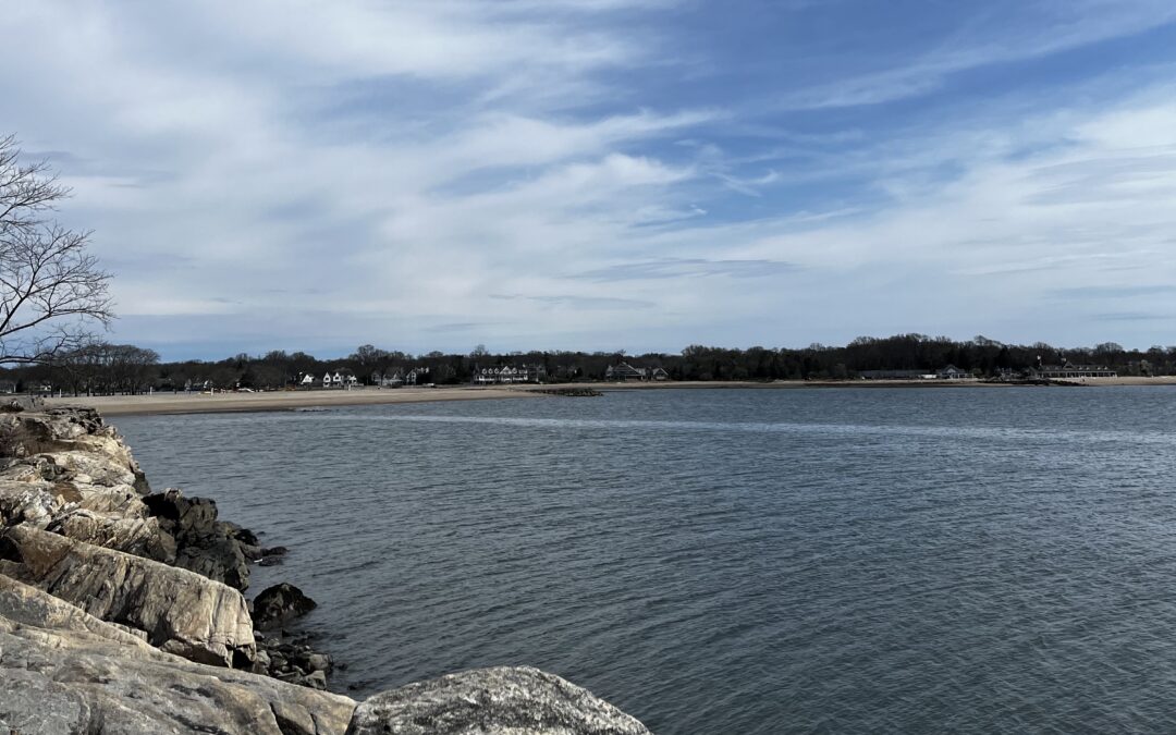 Get Your Stamford Beach Pass for the 2026 Season!
