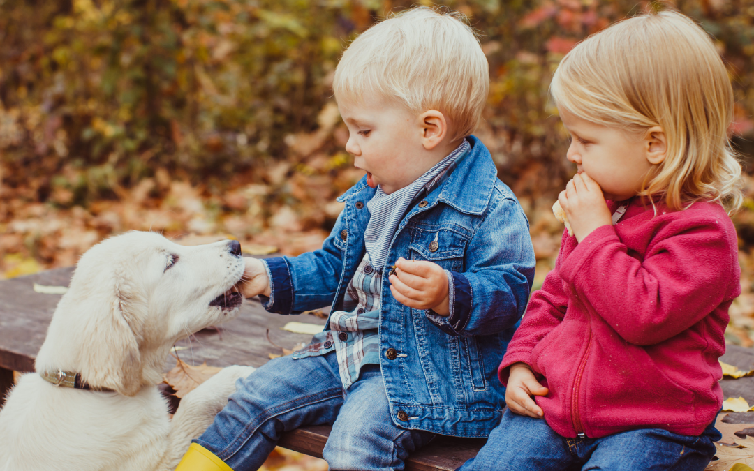 Stamford Moms 2024 Pet Care Guide!