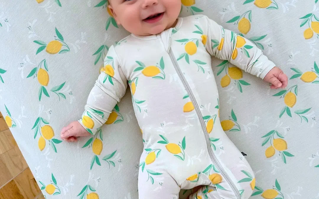 The Local Moms Network Ultimate Baby Guide