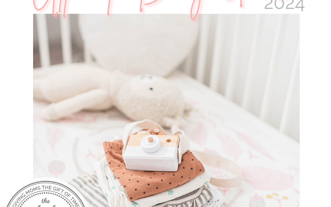 The Local Moms Network Ultimate Baby Guide 2024