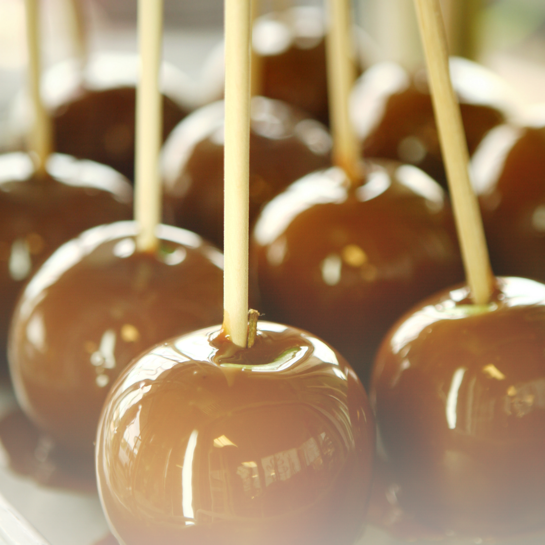 carmel apple picking