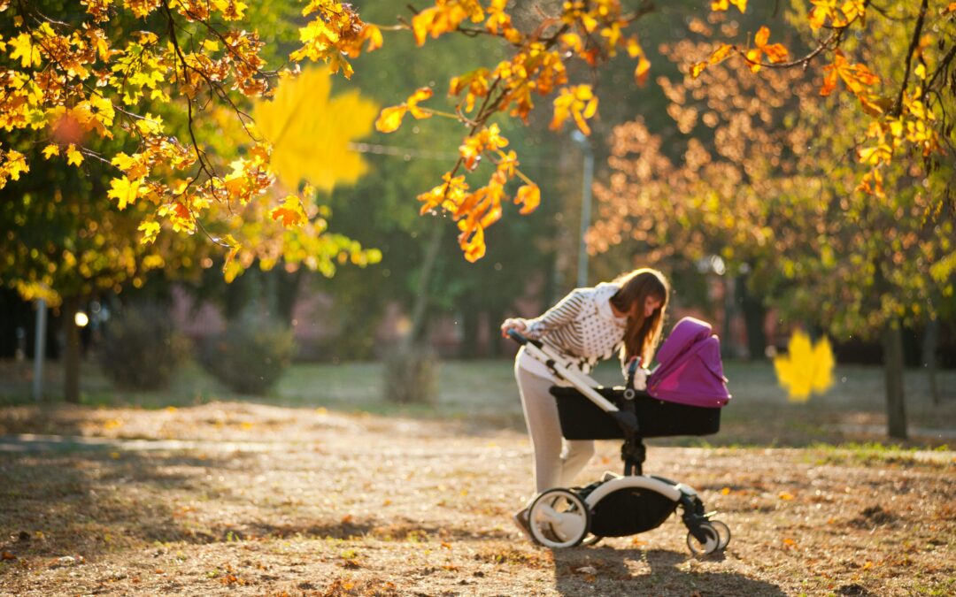 Beyond the Basic: 9 Strollers for Every Lifestyle.