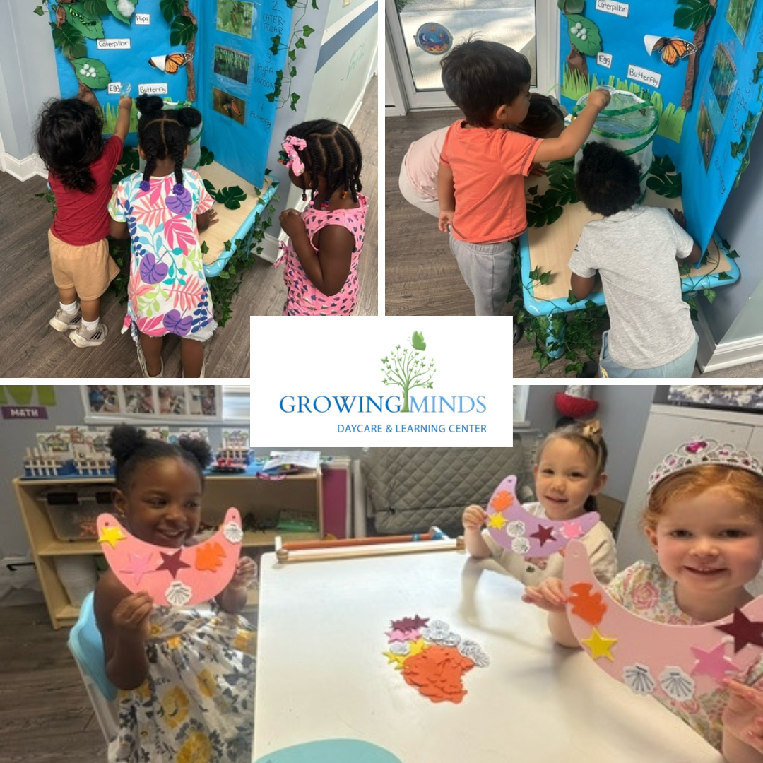 growing minds stamford preschool