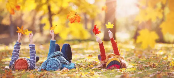 Fall Lawn Protection from Backyard Bug Busters