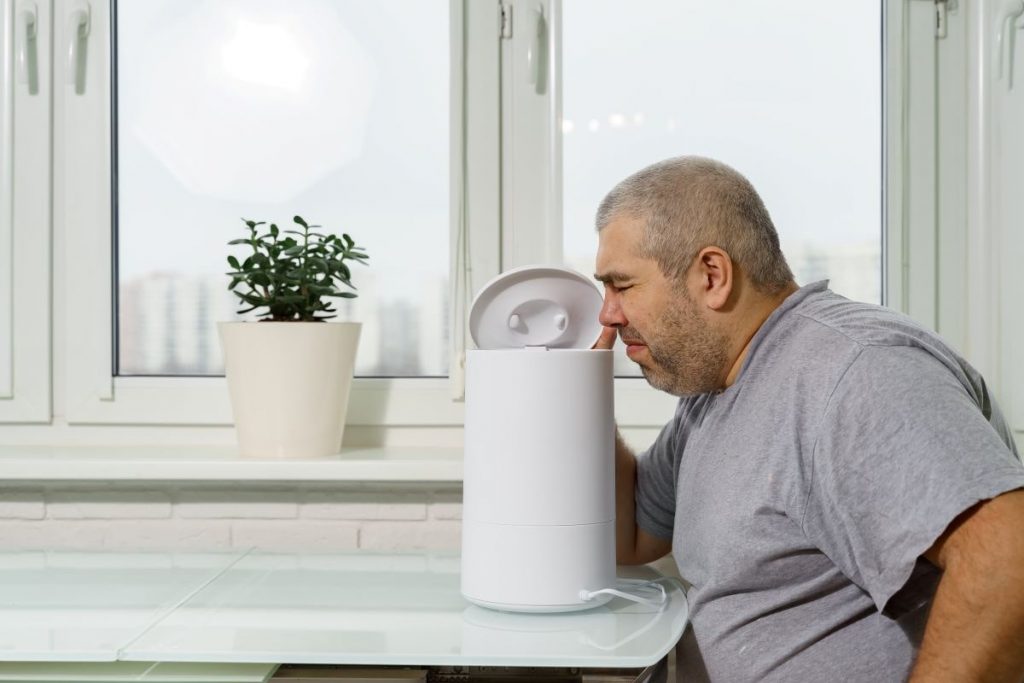 humidifier mold