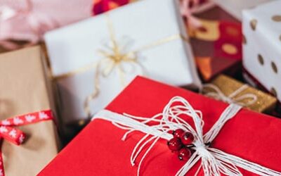 Holiday Gift Guide 2025!