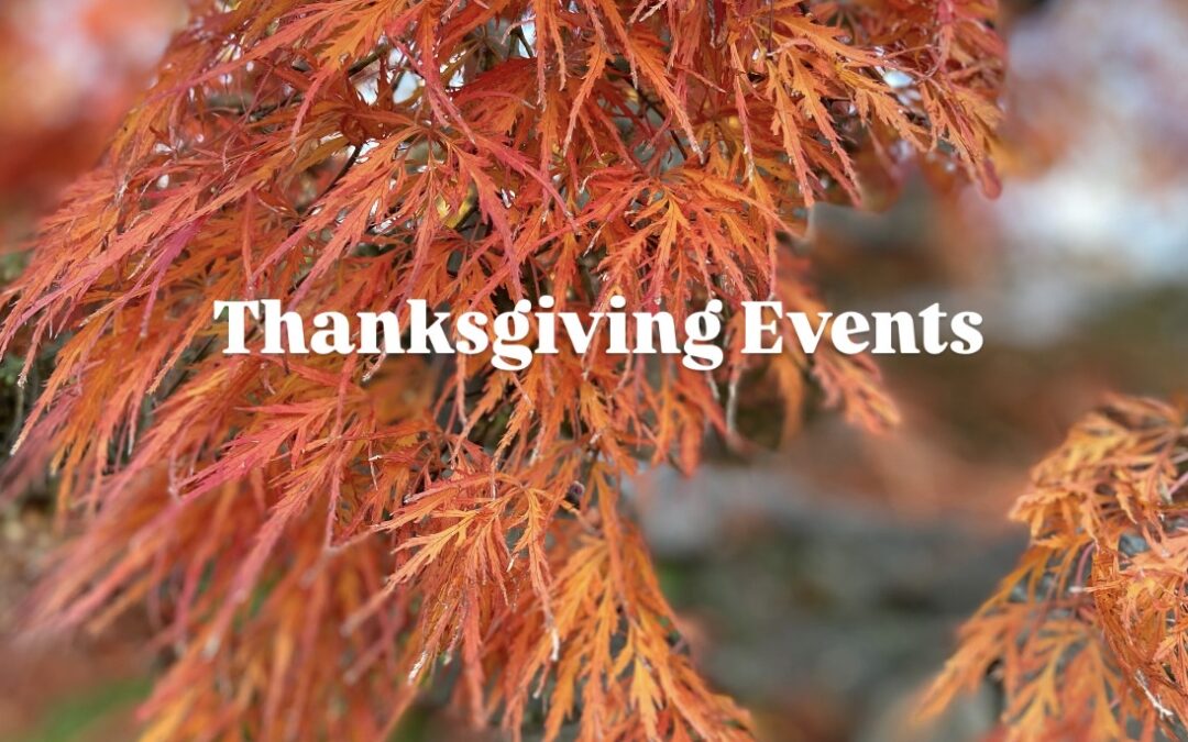 To Do in November: Thanksgiving Events