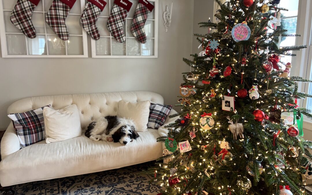 PuroClean of Greenwich | Stamford: 12 Holiday Pet Safety Tips