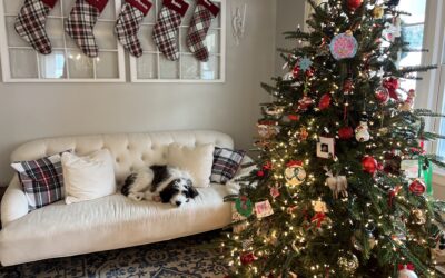 PuroClean of Greenwich | Stamford: 12 Holiday Pet Safety Tips
