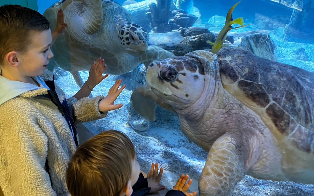 Experience Gift Ideas for Kids & Families!