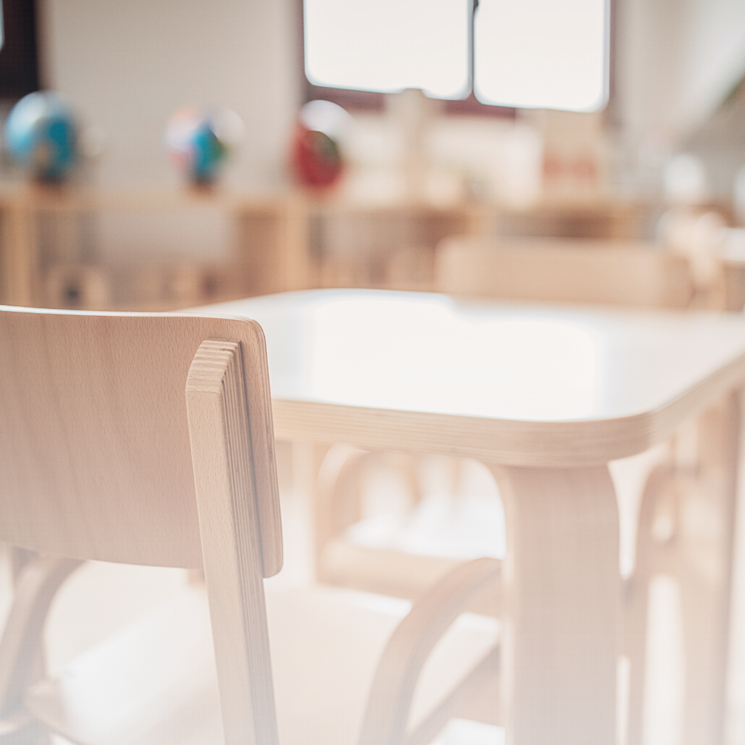 olam public charter school