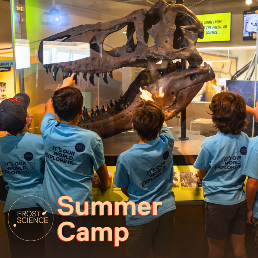 Miami Summer Camp Guide 2025 - The Miami Moms