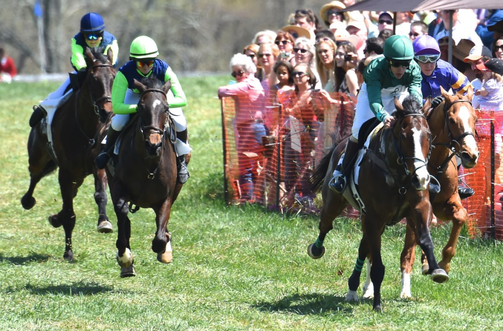 2025 Maryland Horse Races Guide