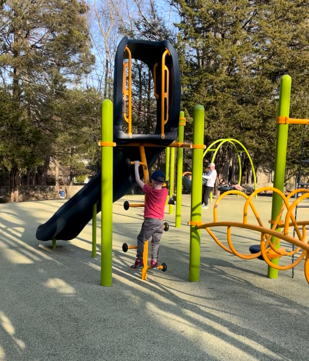 cove island stamford playground