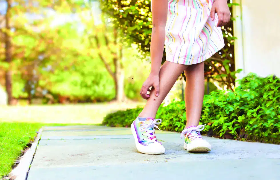 Spring Has Sprung! 4 Reasons to Book Mosquito Squad Today