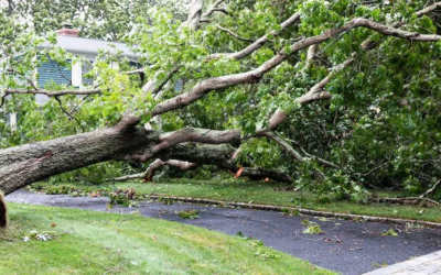 7 Spring Storm Damage Restoration Tips