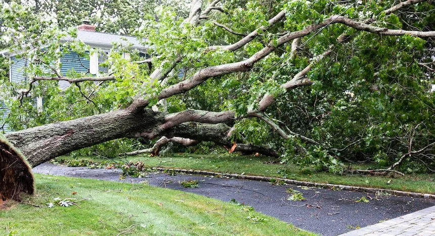 7 Spring Storm Damage Restoration Tips