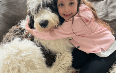 2025 Pet Care Guide