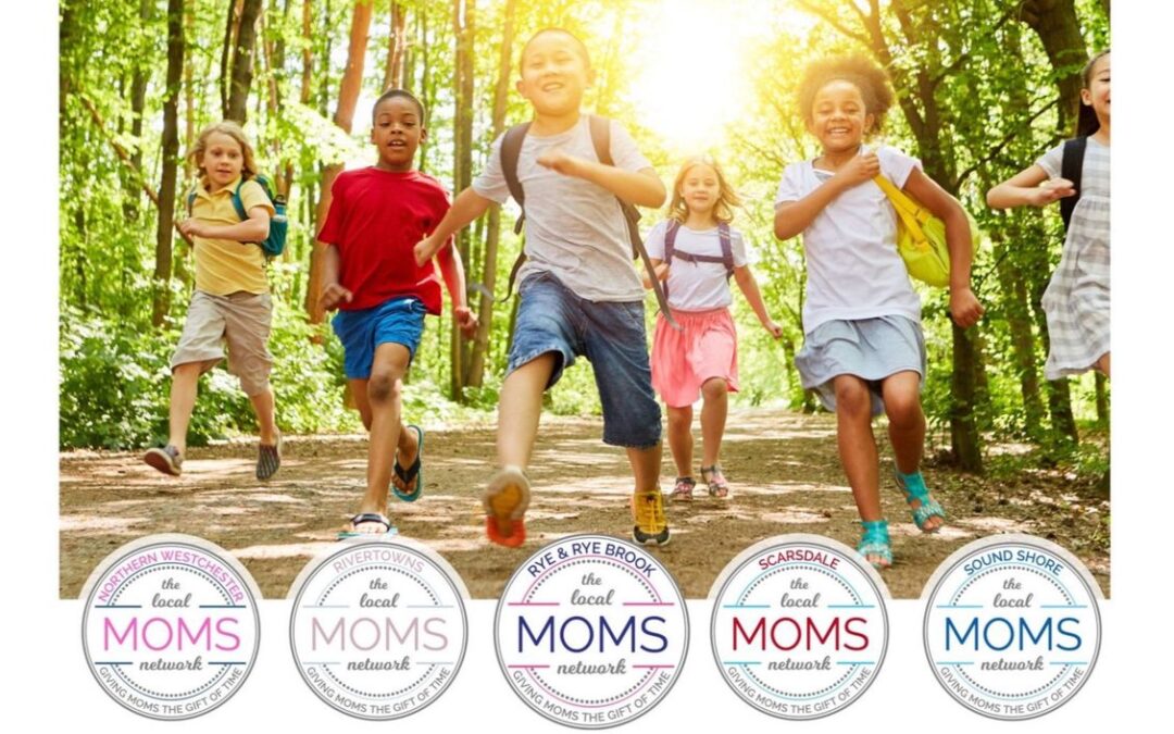 Westchester Day Camp Guide