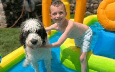 How to Fill Your Backyard with Summer FUN!