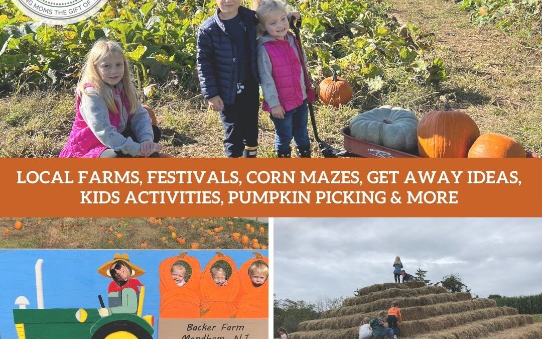 The 2025 Fall Fun Guide Presented by The Pool Boss!