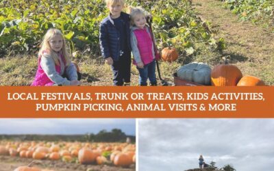 The 2025 Naples Fall Fun Guide