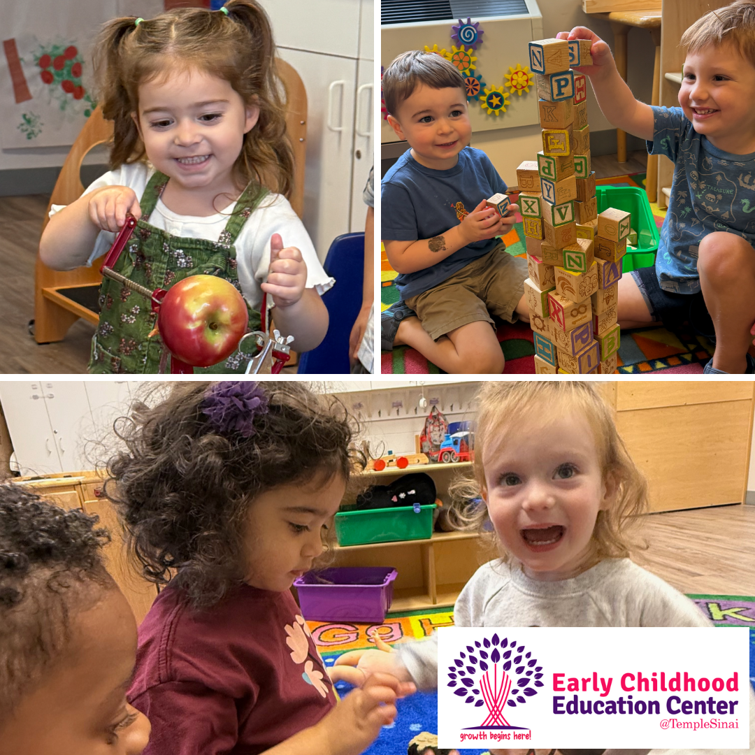 ece 2025 ecec stamford preschool