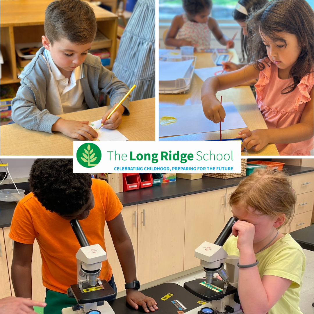 Long Ridge School Private School Guide long ridge stamford preschool