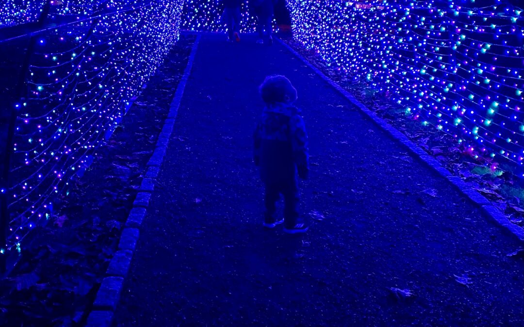 Holiday Activities 2025!