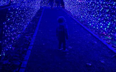 Holiday Activities 2025!
