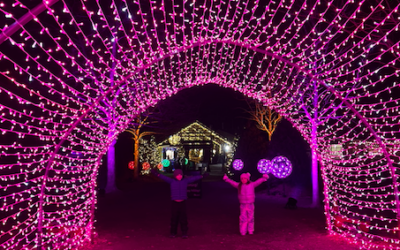 Must See Holiday Light Displays!