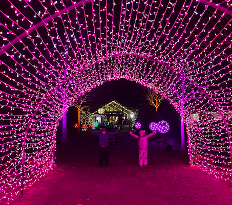 Must See Holiday Light Displays!