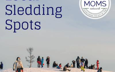 Local Sledding & Ice Skating Spots!