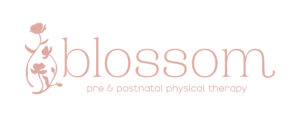 Primary Logo - Peach