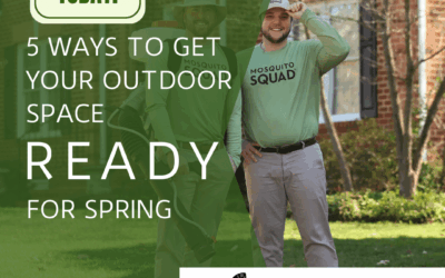 5 Ways to Get Your Outdoor Space Ready for Spring