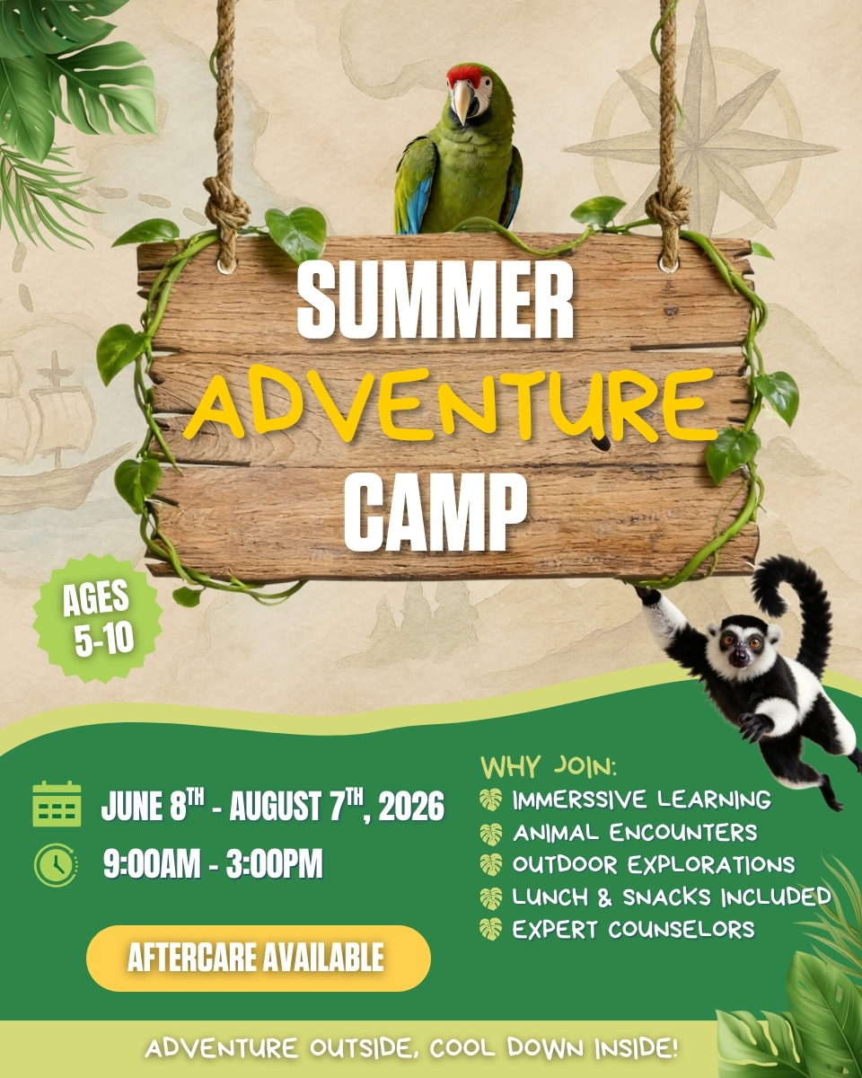 Summer Camp 960x1200