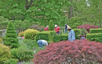 Find Connections and Community with The Stamford Garden Club