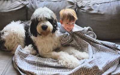 2026 Pet Care Guide