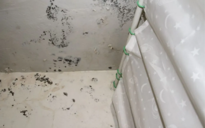 7 Everyday Habits That Can Cause Indoor Air and Mold Growth in Your Home