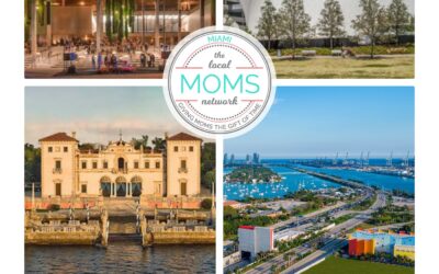 Miami Museum Guide