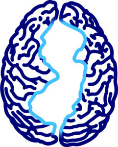 NJbrainv012