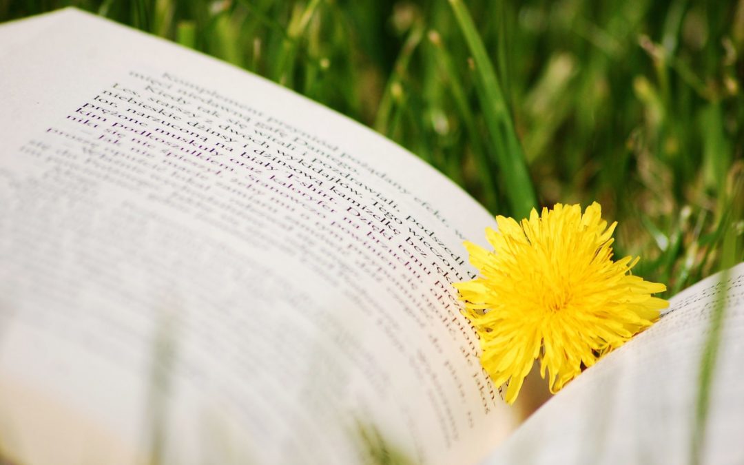 Moms Summer Reading Guide