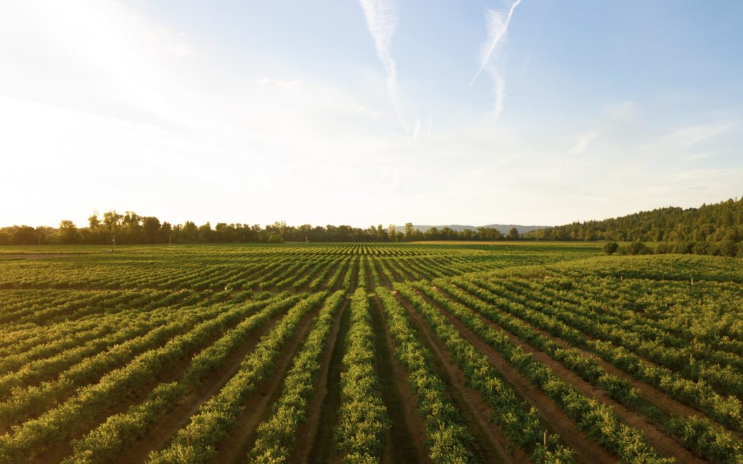 Farms That Deliver to Richmond VA!