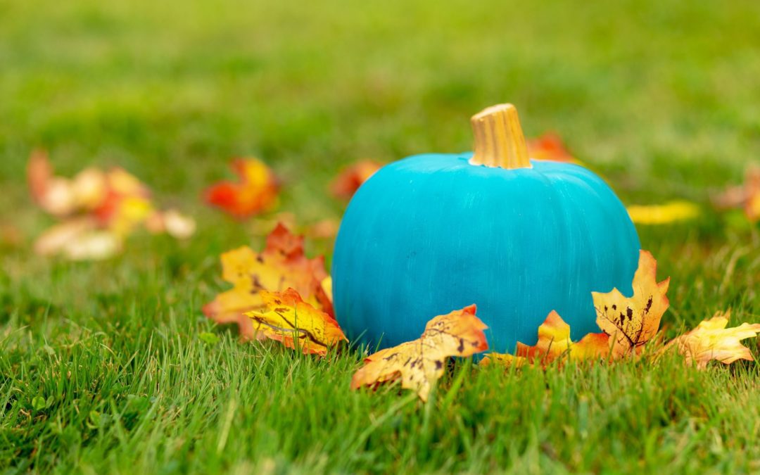 The Teal Pumpkin Project